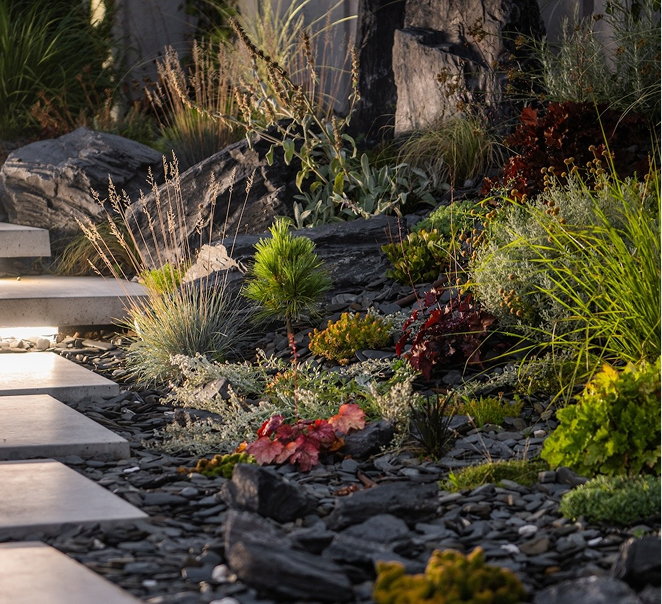 Slate rockery garden with stepping stones and layered planting